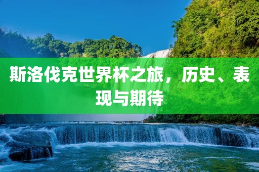 斯洛伐克世界杯之旅，历史、表现与期待