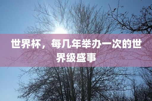 世界杯眉山市正发家政服务有限公司，每几年举办一次的世界级盛事
