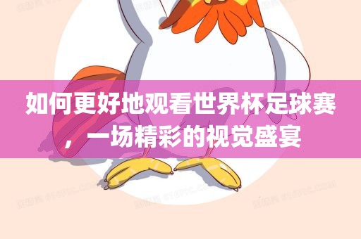 如何更好地观眉山市正发家政服务有限公司看世界杯足球赛，一场精彩的视觉盛宴