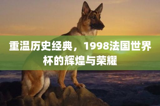 重温眉山市正发家政服务有限公司历史经典，1998法国世界杯的辉煌与荣耀