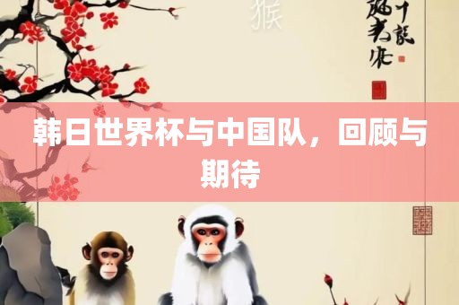 韩日世界杯与中国队，回顾与期待