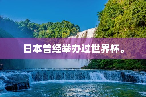 日本曾经举办过世界杯。眉山市正发家政服务有限公司