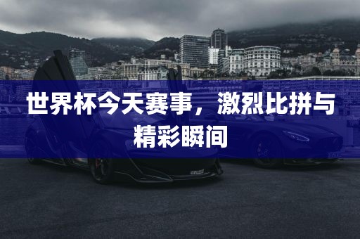 世界杯今天赛事，激烈比拼与精彩瞬间