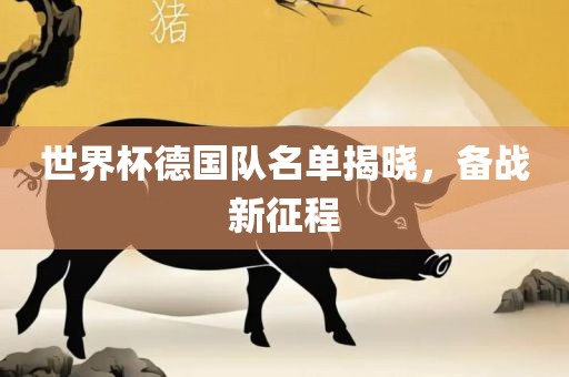 世界杯德国队名单揭晓，备战新征程眉山市正发家政服务有限公司