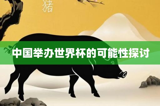 中国举办世界杯的可能性探讨