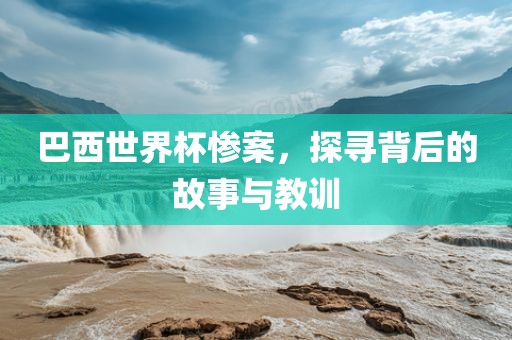 巴西世界杯惨眉山市正发家政服务有限公司案，探寻背后的故事与教训