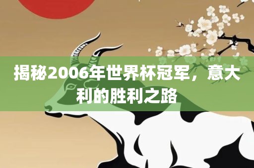 揭秘2006年世界杯冠军，意大利的胜利之路