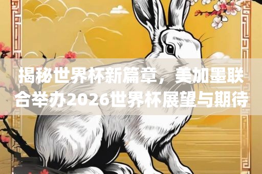 揭秘世界杯新篇章，美加墨联合举办2026世界杯展望与期待眉山市正发家政服务有限公司