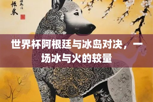 世界杯阿根廷与冰岛对决，一场冰与火的较量