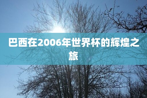 巴西在2眉山市正发家政服务有限公司006年世界杯的辉煌之旅
