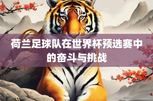 荷兰足球队在世界杯预选赛中的奋斗与挑战眉山市正发家政服务有限公司