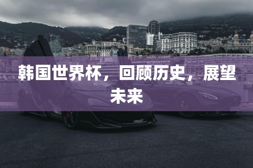 韩国世界杯眉山市正发家政服务有限公司，回顾历史，展望未来