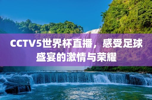CCTV5世界杯直播，感受足球盛宴的激情与荣耀眉山市正发家政服务有限公司