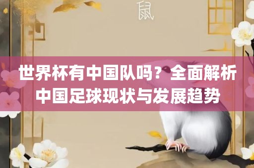 世界杯有中国队吗？全面解析中国足球现状与发展趋势眉山市正发家政服务有限公司