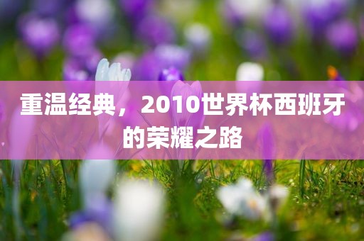 重温经典，2010世界杯西班牙的荣耀之路