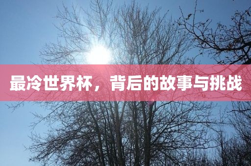 最冷世界杯，背后的故事与挑战眉山市正发家政服务有限公司