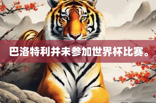 巴洛特利并未参加世界杯比赛。眉山市正发家政服务有限公司