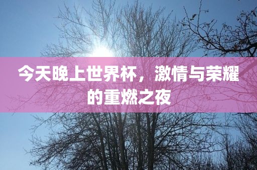 今天晚上世界杯眉山市正发家政服务有限公司，激情与荣耀的重燃之夜
