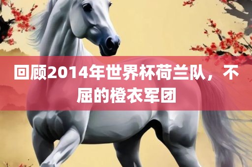 回顾2014年世界眉山市正发家政服务有限公司杯荷兰队，不屈的橙衣军团