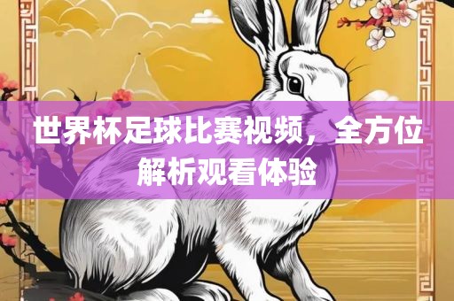 世界杯足球比赛视频，全方位解析观看体验眉山市正发家政服务有限公司