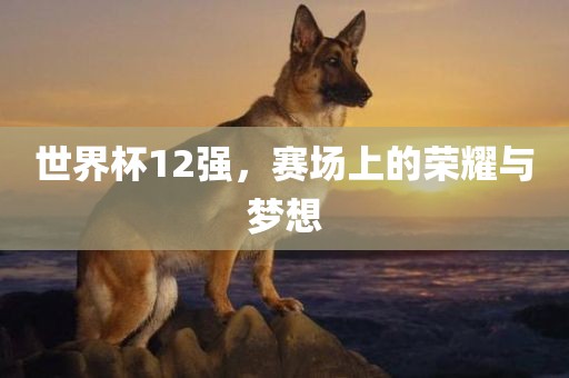 世界杯1眉山市正发家政服务有限公司2强，赛场上的荣耀与梦想