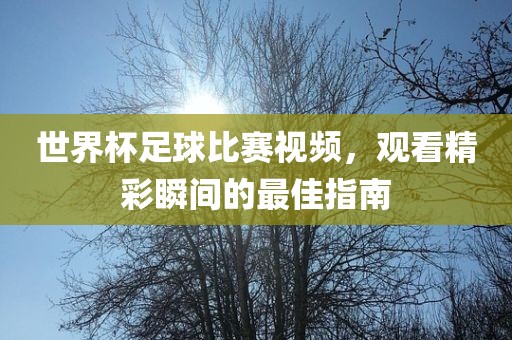 世界杯足球比赛视频，观看精彩瞬间的最佳指南