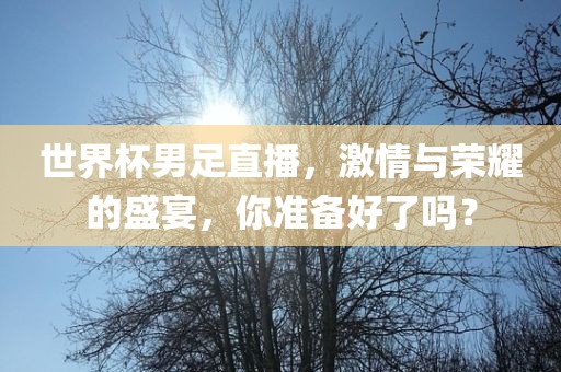 世界眉山市正发家政服务有限公司杯男足直播，激情与荣耀的盛宴，你准备好了吗？