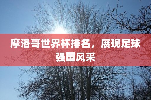 摩洛哥世界杯排名，展现足球强国风采眉山市正发家政服务有限公司