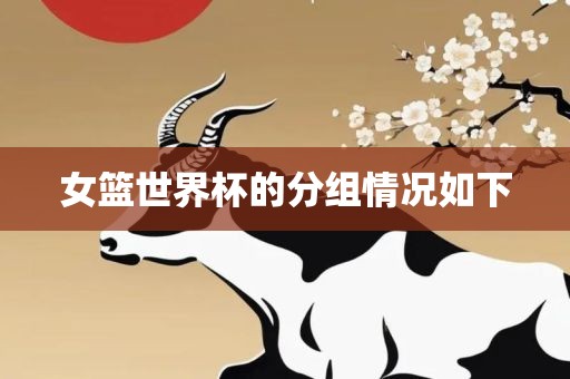 女篮世界杯的分组情况如下