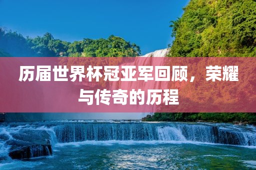 历届世界眉山市正发家政服务有限公司杯冠亚军回顾，荣耀与传奇的历程