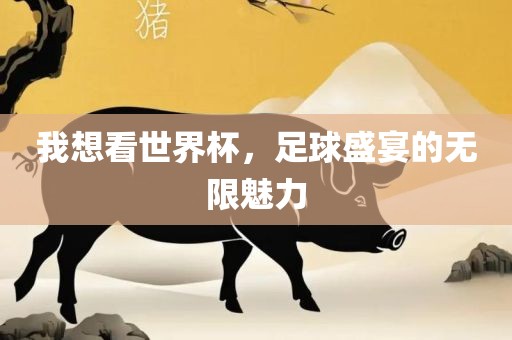 我想看世界杯，足球盛宴的眉山市正发家政服务有限公司无限魅力