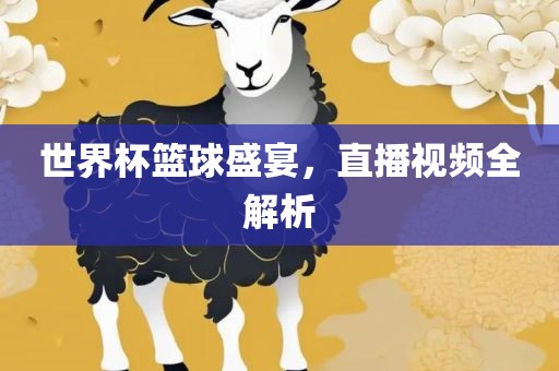 世界杯篮球盛宴，直播视频全解析眉山市正发家政服务有限公司