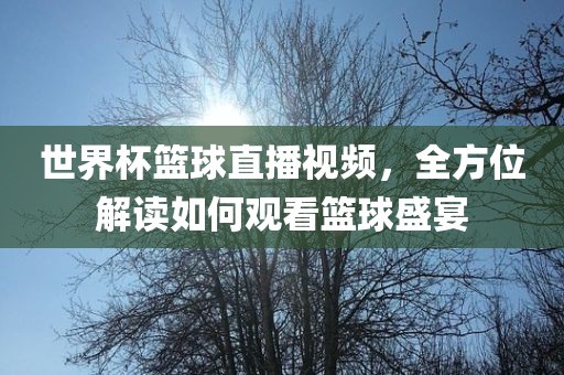 世界眉山市正发家政服务有限公司杯篮球直播视频，全方位解读如何观看篮球盛宴