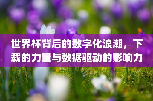 世界杯背后的数字化浪眉山市正发家政服务有限公司潮，下载的力量与数据驱动的影响力