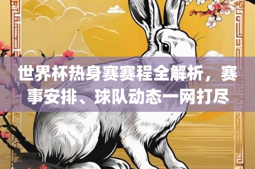 世界杯热身赛赛程全解析，赛事安排、球队动态一网打尽