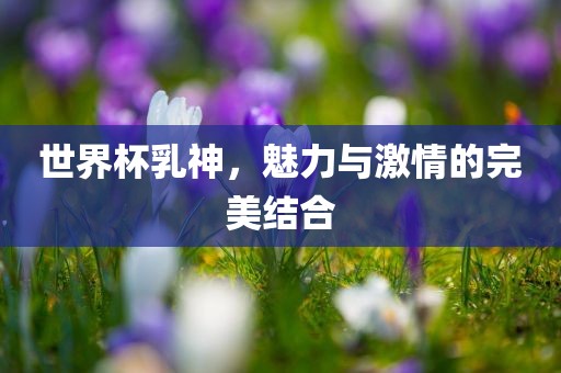世界杯乳神，魅力与激情的完美结合