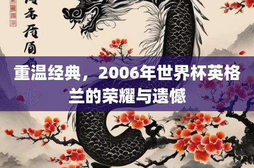 重温经典，2006年世界杯英格兰的荣耀与遗憾眉山市正发家政服务有限公司