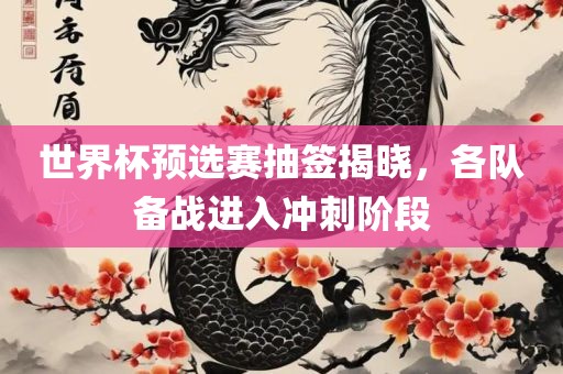 世界杯预选赛抽签揭晓，各队备战进入冲刺阶段眉山市正发家政服务有限公司