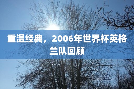 重温经典，2006年世界杯英格兰队回顾
