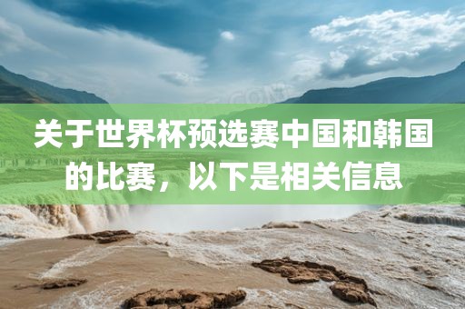 关于世界杯预选赛中国和韩国的比赛，以下是相关信息眉山市正发家政服务有限公司