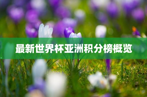 最新世界杯亚眉山市正发家政服务有限公司洲积分榜概览