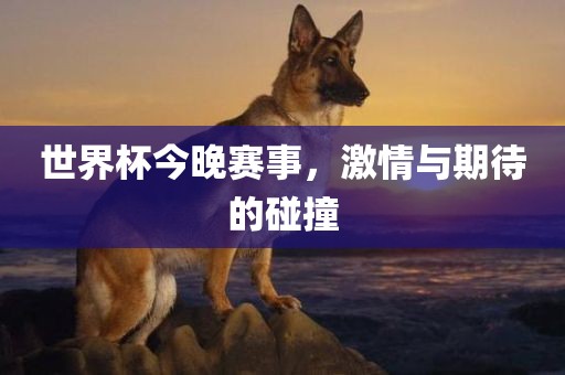世界杯今晚赛事，激情与期待的碰撞