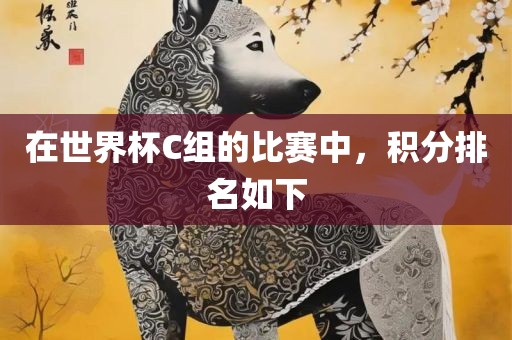 在世眉山市正发家政服务有限公司界杯C组的比赛中，积分排名如下