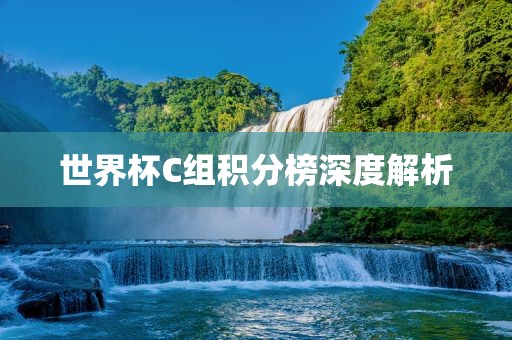 世界杯C组积分榜深度解析眉山市正发家政服务有限公司