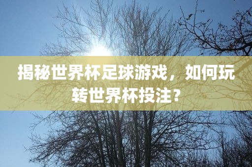 揭秘世界杯足球游戏，如何玩转世界杯投注？眉山市正发家政服务有限公司
