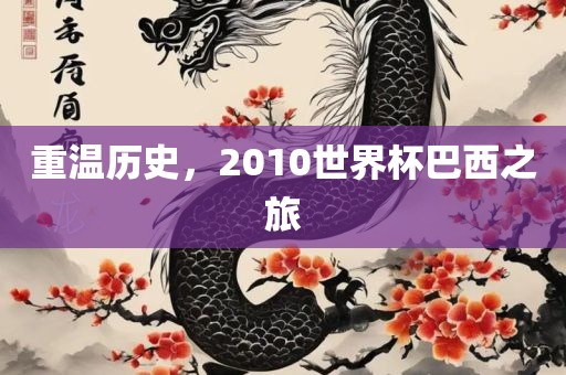 重温历史，2010世界杯巴西之旅眉山市正发家政服务有限公司