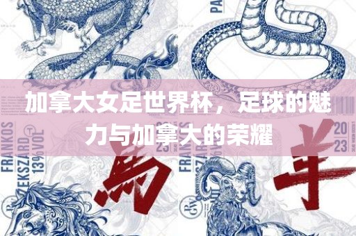 加拿大女足世界杯，足球的魅力与加拿大的荣耀