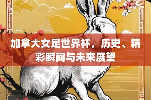 加拿大女足世界杯，历史、精彩瞬间与未来展望