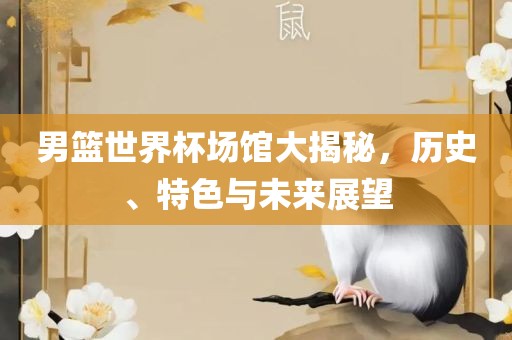 男篮世界杯场馆大揭秘，历史、特色与未来展望