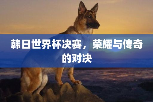 韩日世界杯决赛，荣耀与传奇的对决眉山市正发家政服务有限公司